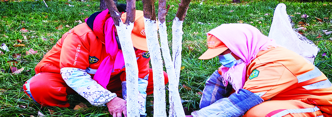 精做“冬護”文章　筑牢城市綠色屏障